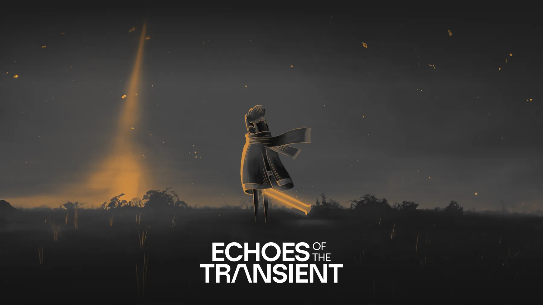 Echoes of the Transient image