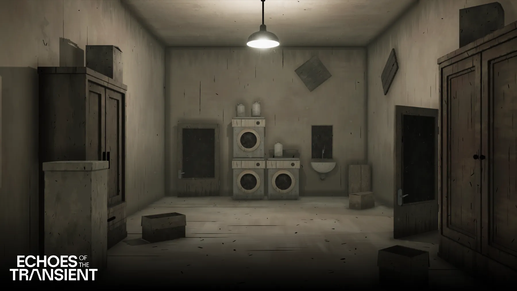 Echoes of the Transient image