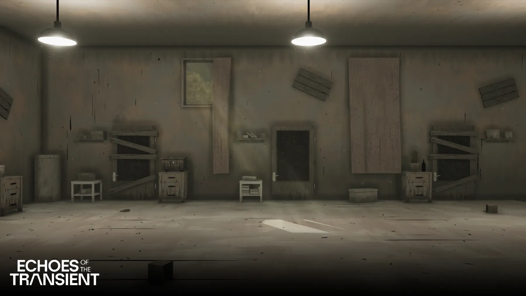 Echoes of the Transient image