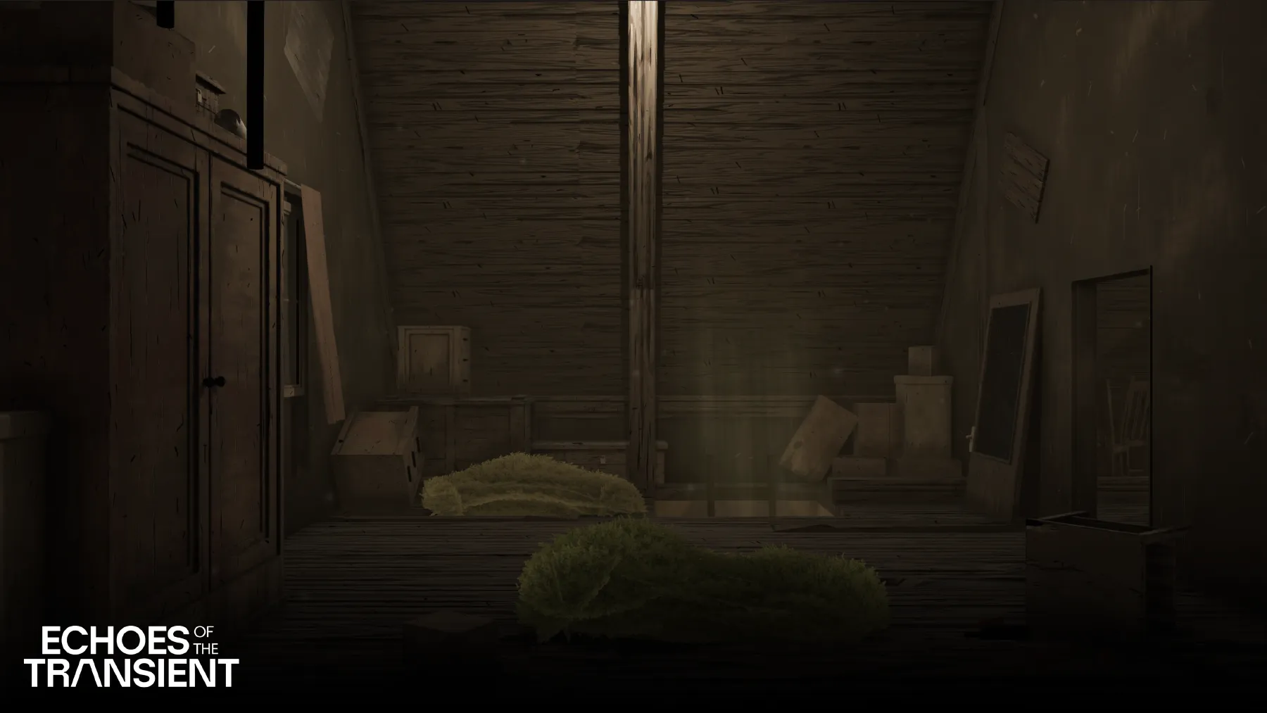 Echoes of the Transient image
