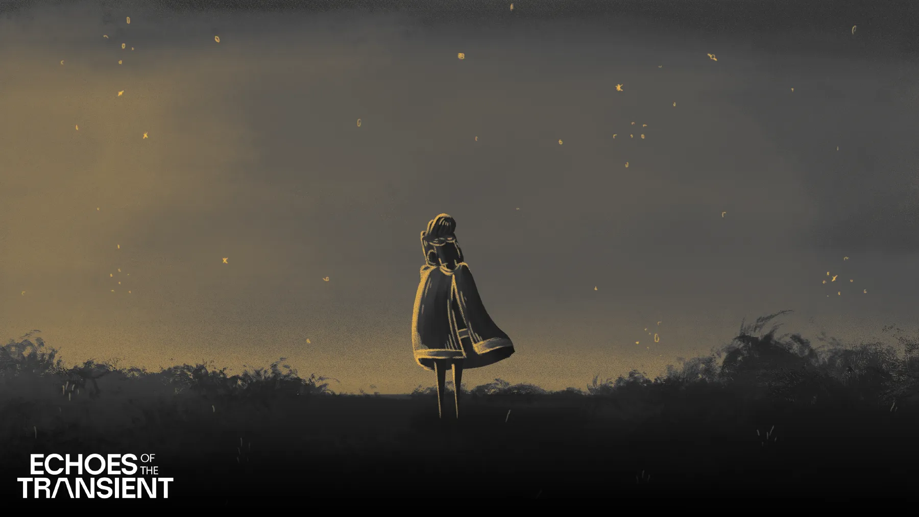 Echoes of the Transient image