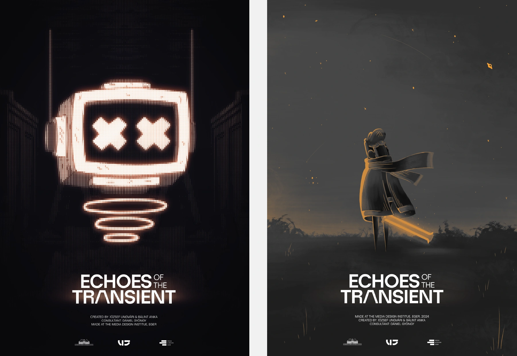 Echoes of the Transient image
